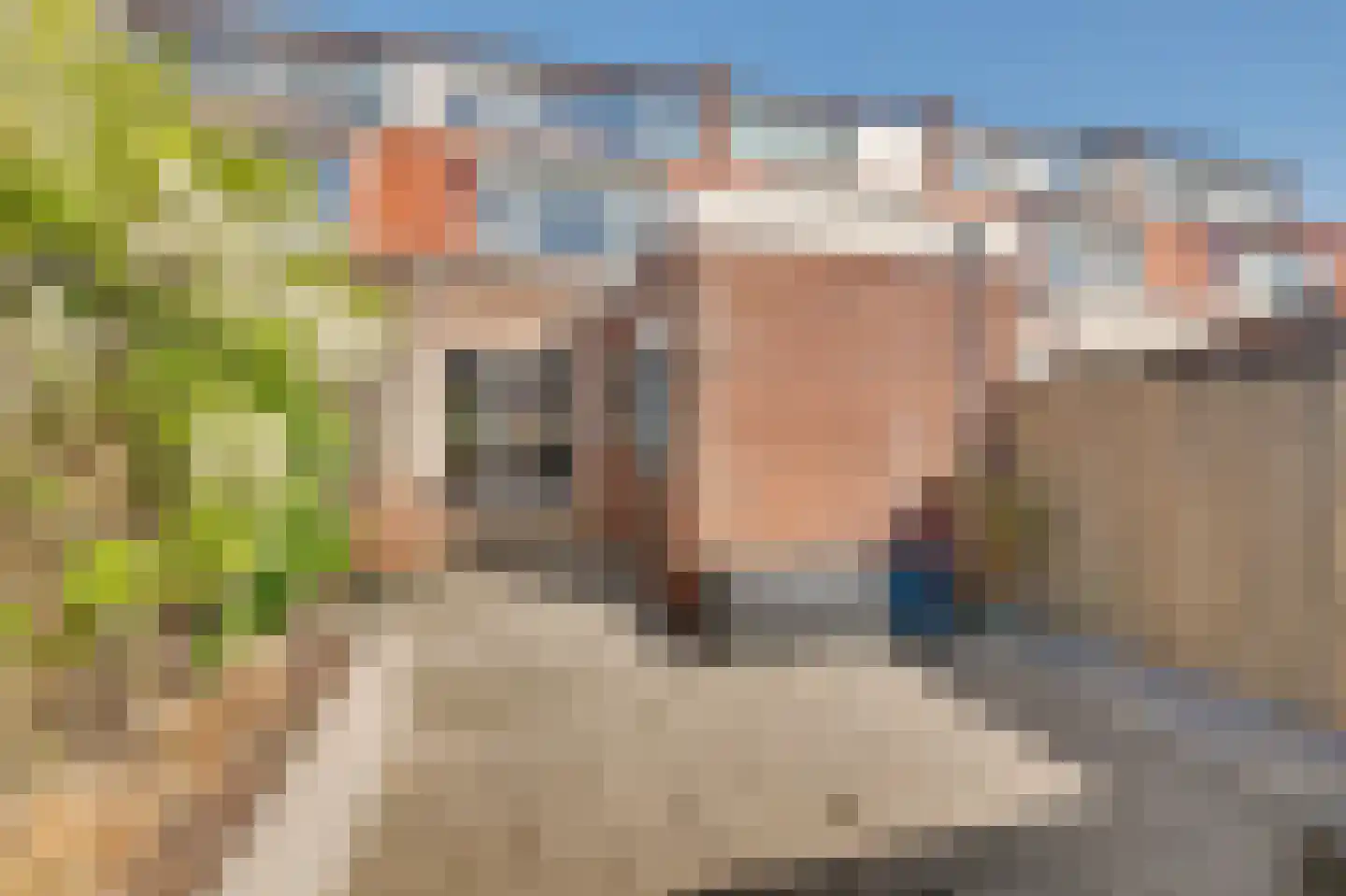 Duiventorenstraat 34 Naaldwijk thumbnail 24