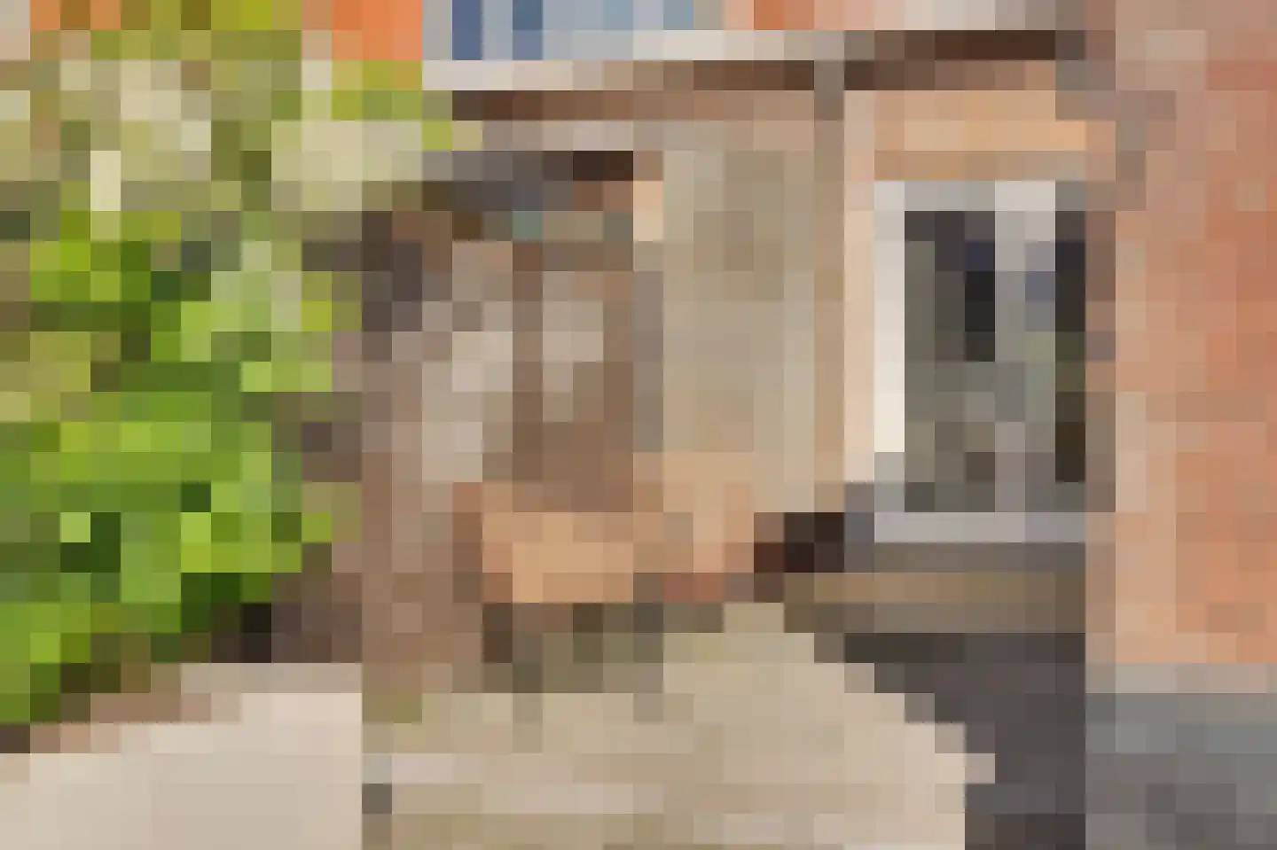 Duiventorenstraat 34 Naaldwijk thumbnail 25