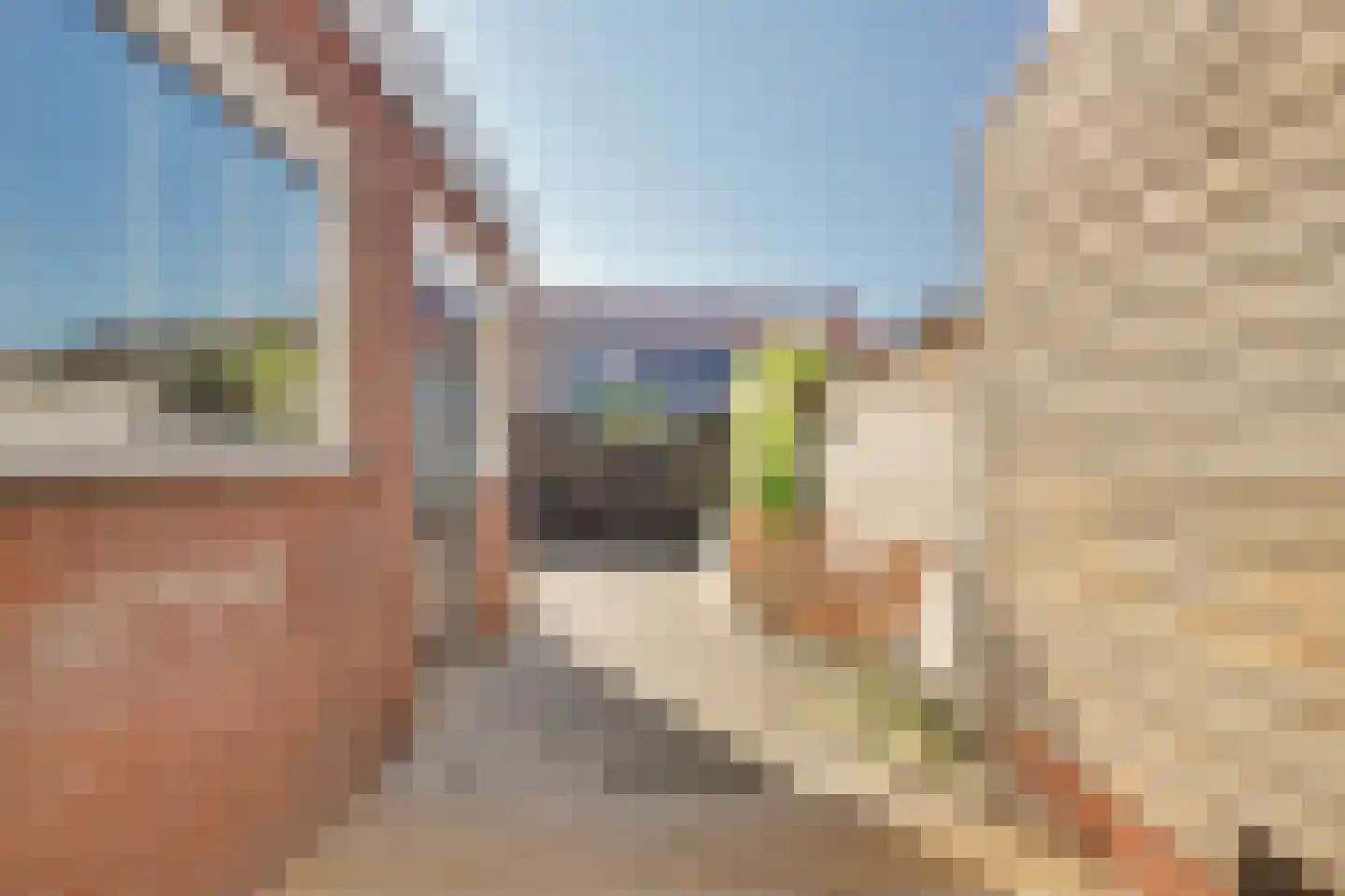Duiventorenstraat 34 Naaldwijk thumbnail 26