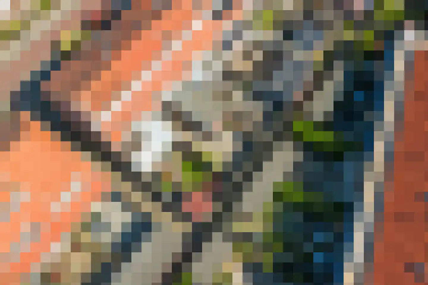 Duiventorenstraat 34 Naaldwijk thumbnail 28