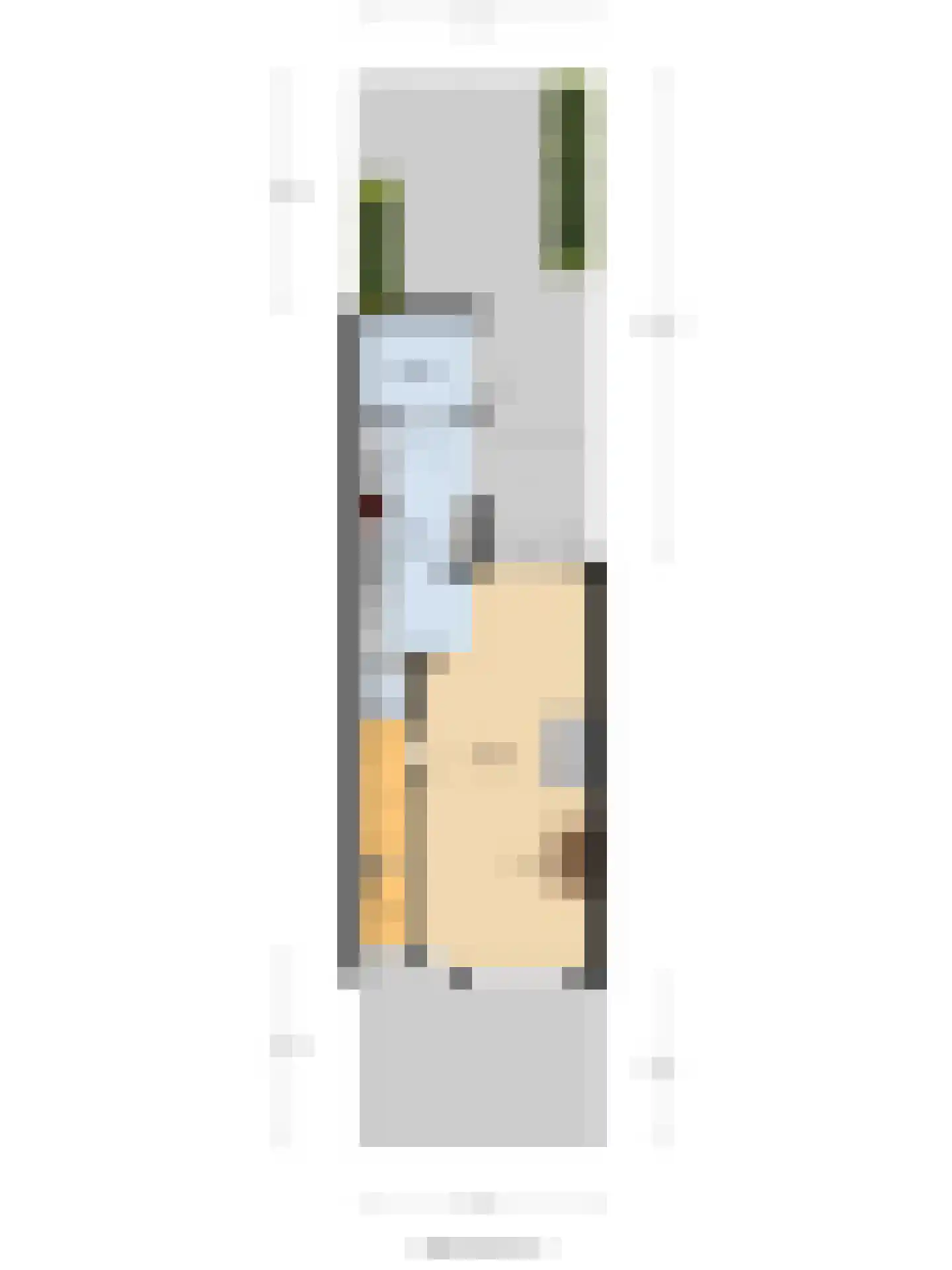 Duiventorenstraat 34 Naaldwijk thumbnail 42