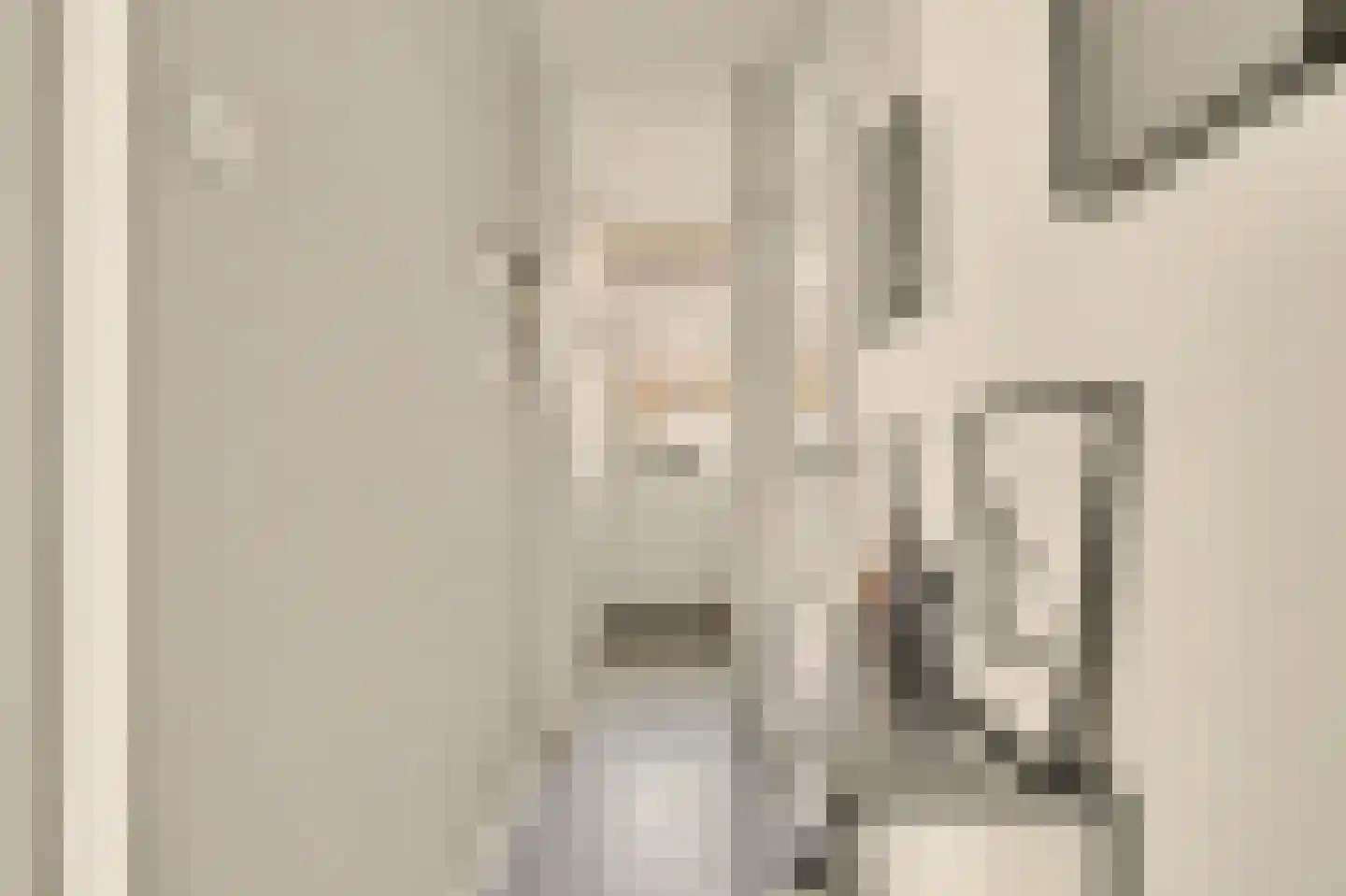 Duiventorenstraat 34 Naaldwijk thumbnail 5