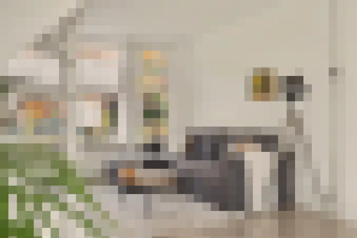 Duiventorenstraat 34 Naaldwijk thumbnail 6