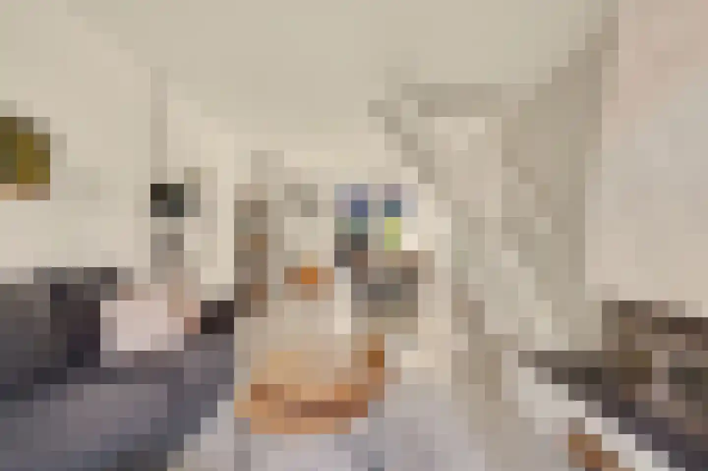 Duiventorenstraat 34 Naaldwijk thumbnail 7