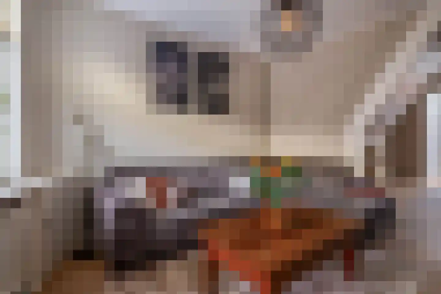 Duiventorenstraat 43 Naaldwijk thumbnail 11
