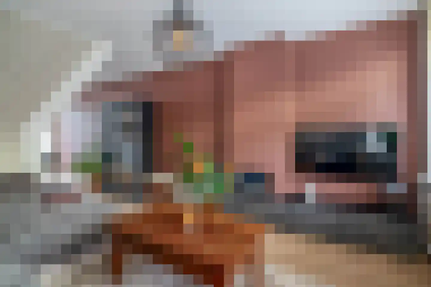 Duiventorenstraat 43 Naaldwijk thumbnail 13