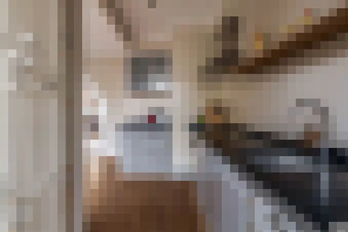 Duiventorenstraat 43 Naaldwijk thumbnail 20