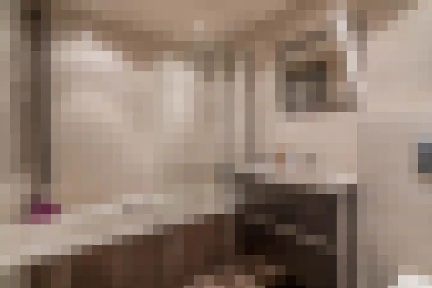 Duiventorenstraat 43 Naaldwijk thumbnail 32