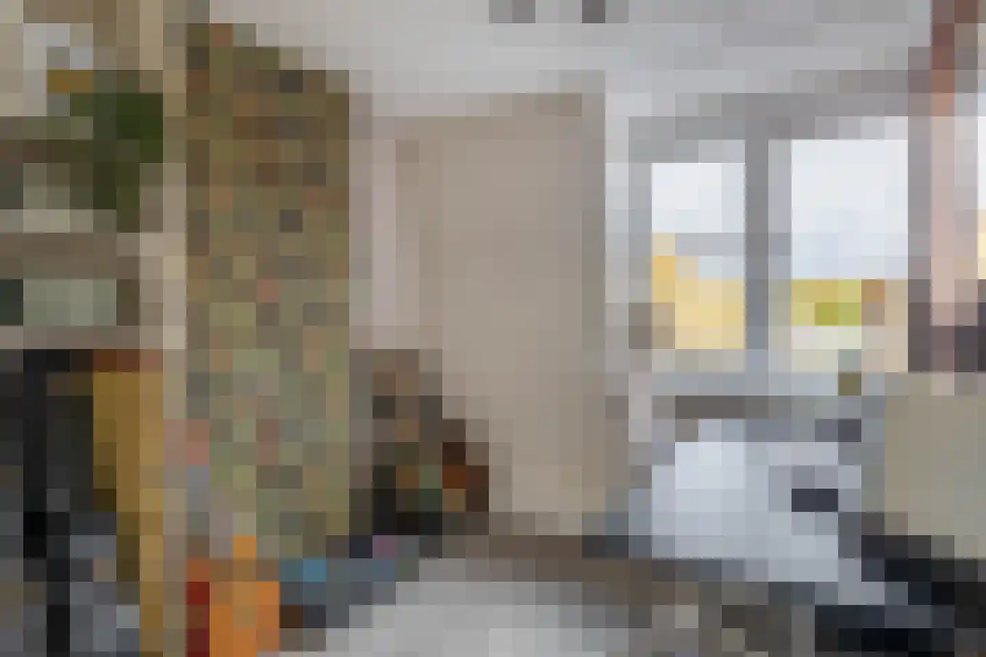 Duiventorenstraat 43 Naaldwijk thumbnail 35