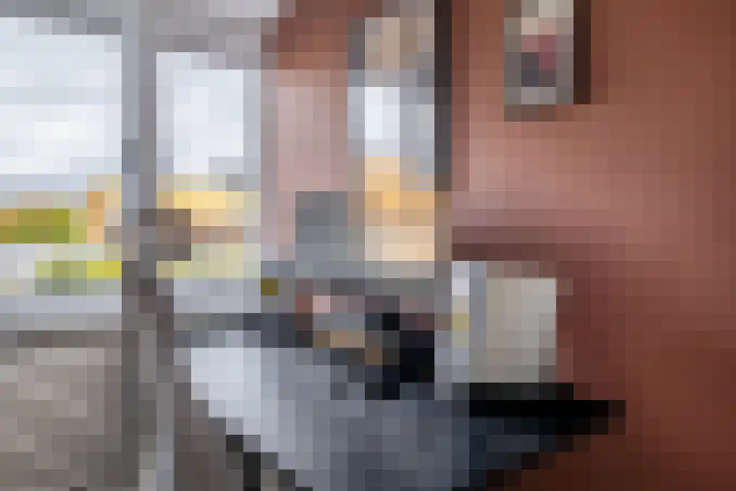 Duiventorenstraat 43 Naaldwijk thumbnail 36