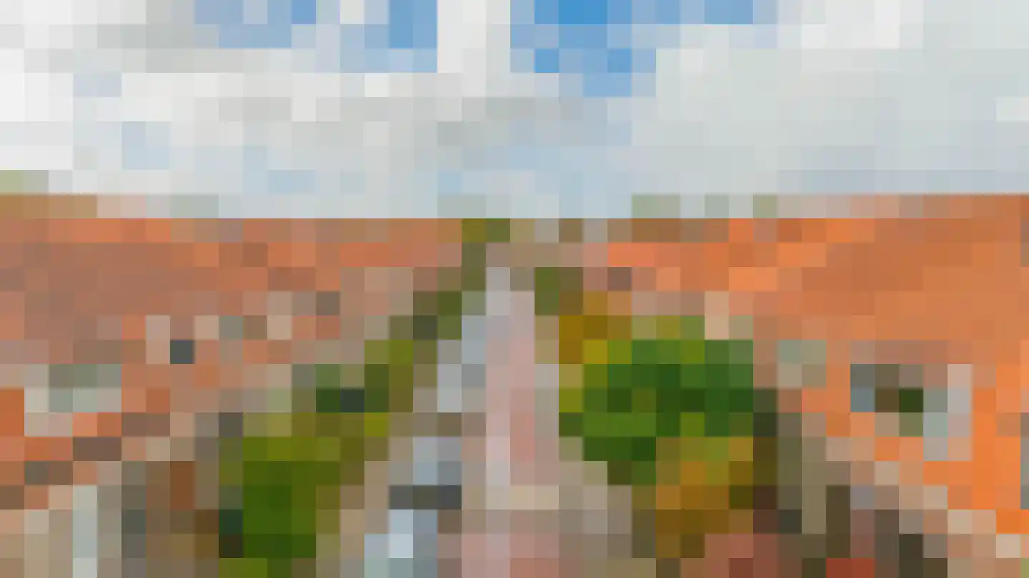 Duiventorenstraat 43 Naaldwijk thumbnail 41