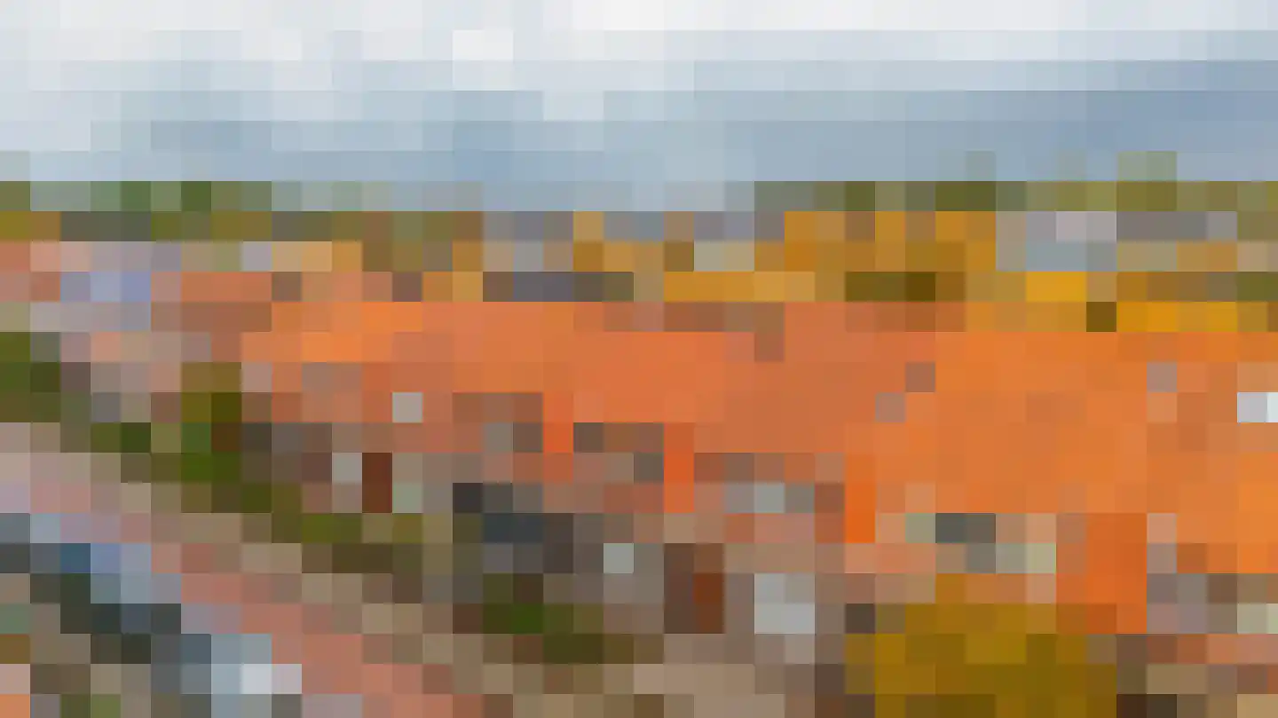 Duiventorenstraat 43 Naaldwijk thumbnail 42