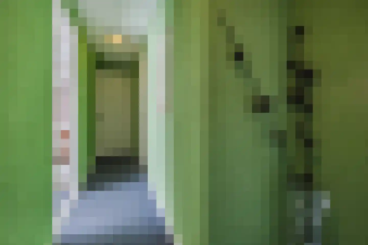 Duiventorenstraat 50 Naaldwijk thumbnail 15