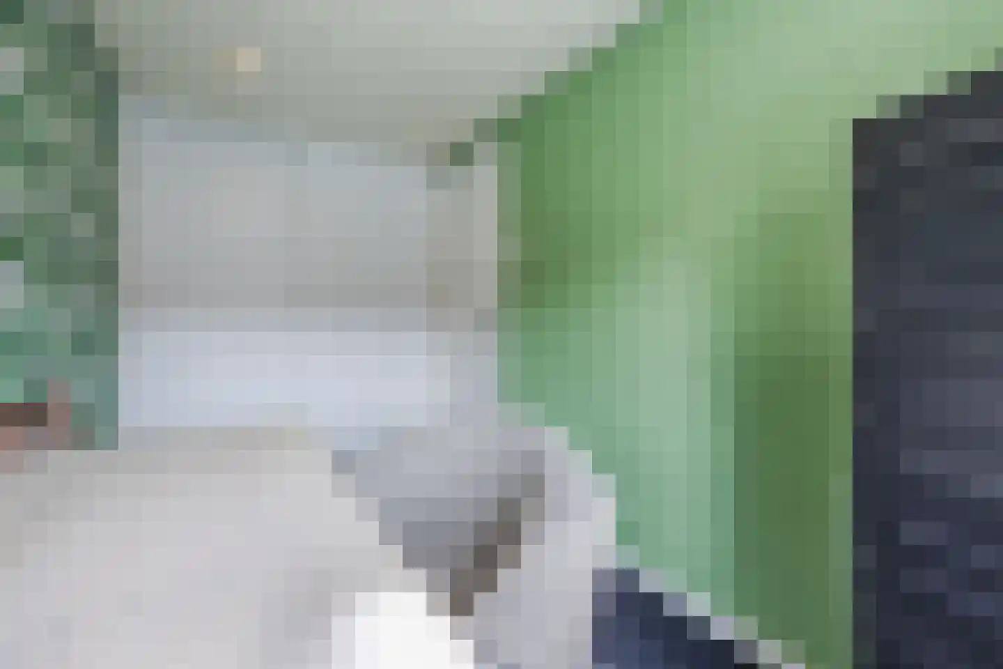 Duiventorenstraat 50 Naaldwijk thumbnail 21