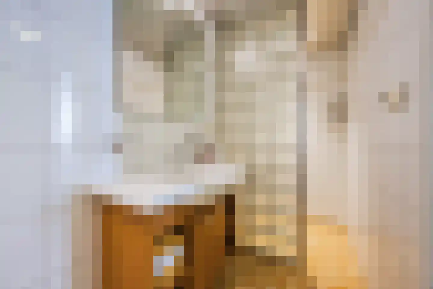 Duiventorenstraat 50 Naaldwijk thumbnail 22
