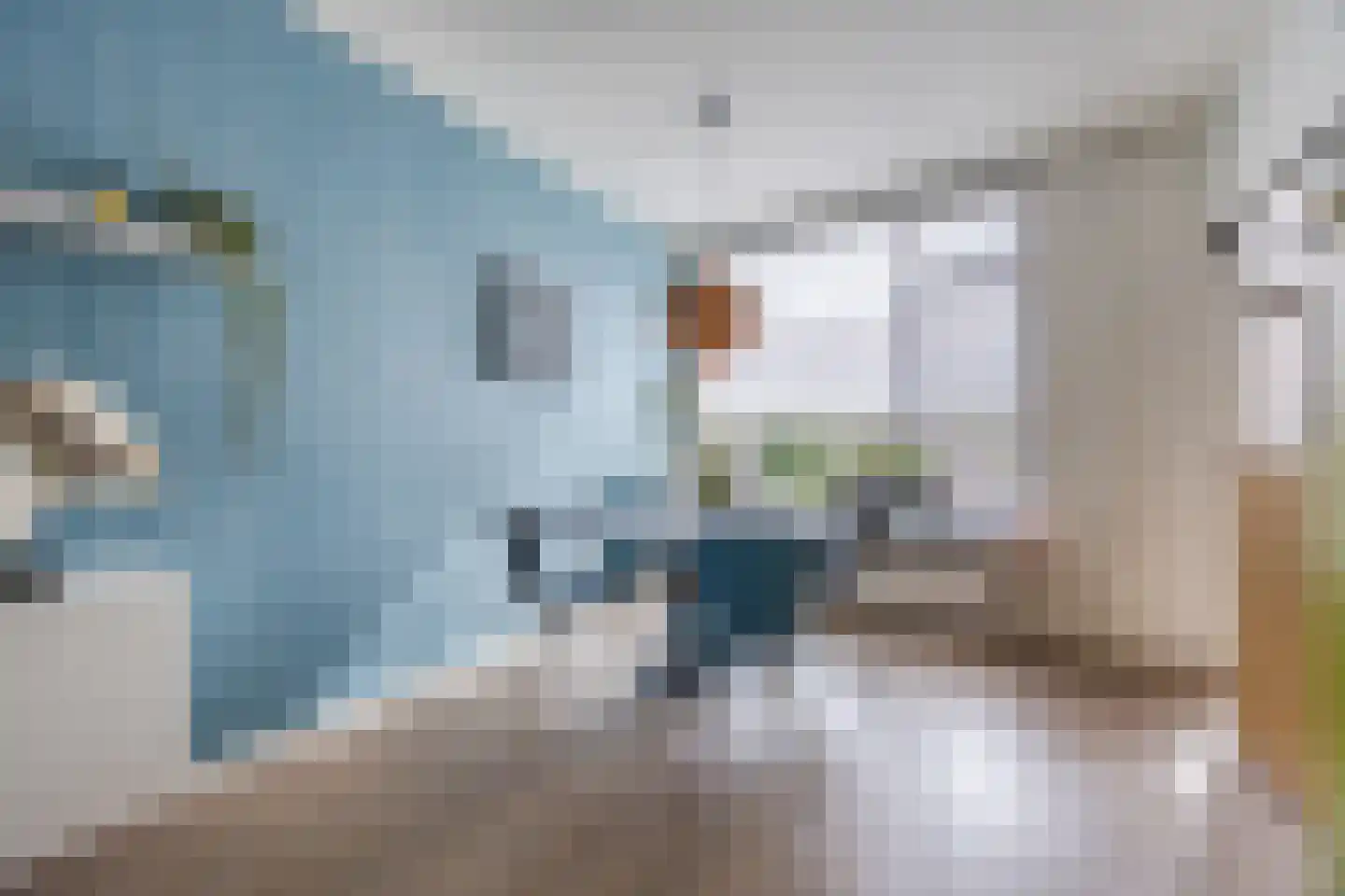 Duiventorenstraat 50 Naaldwijk thumbnail 7