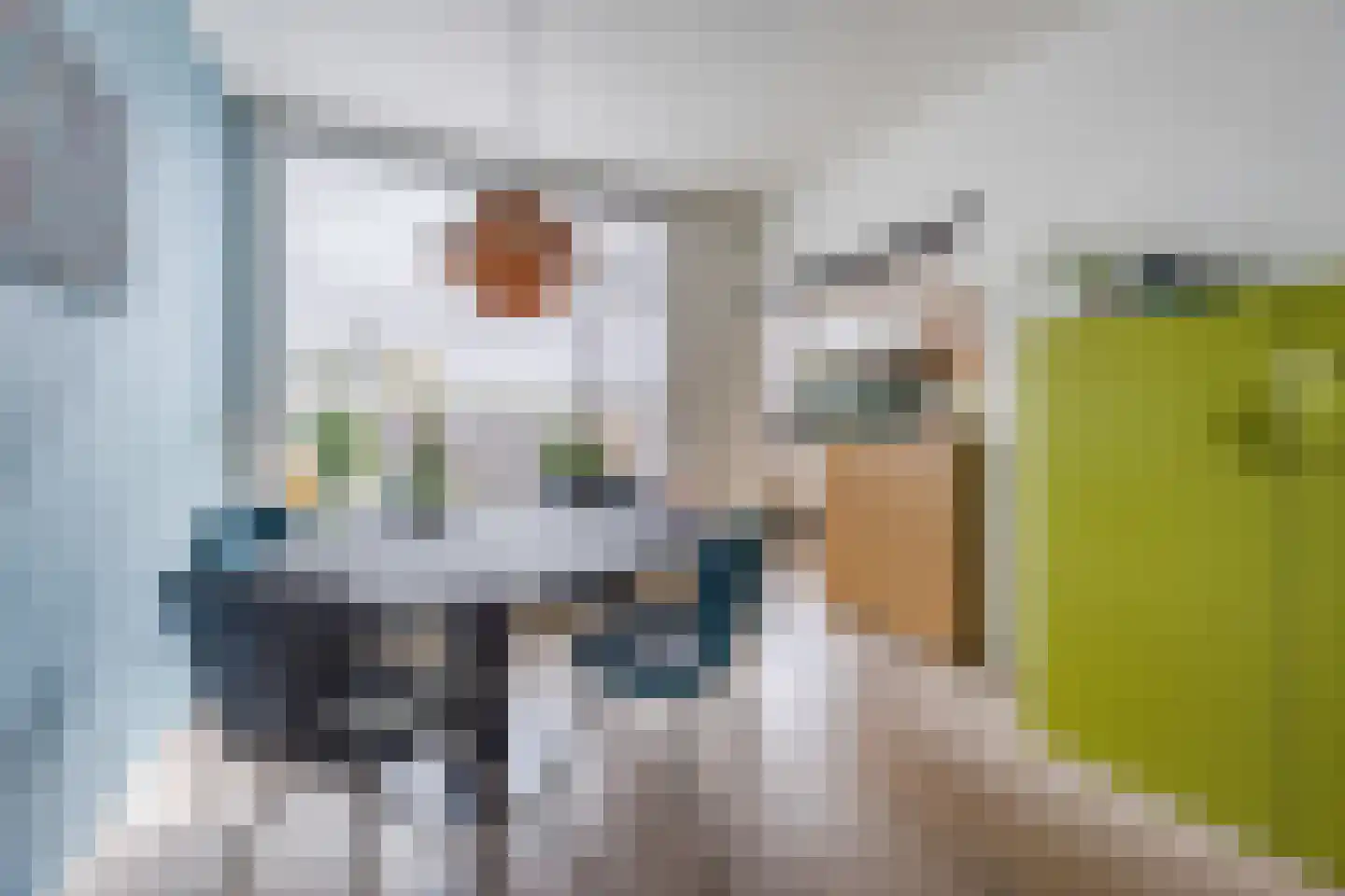 Duiventorenstraat 50 Naaldwijk thumbnail 8