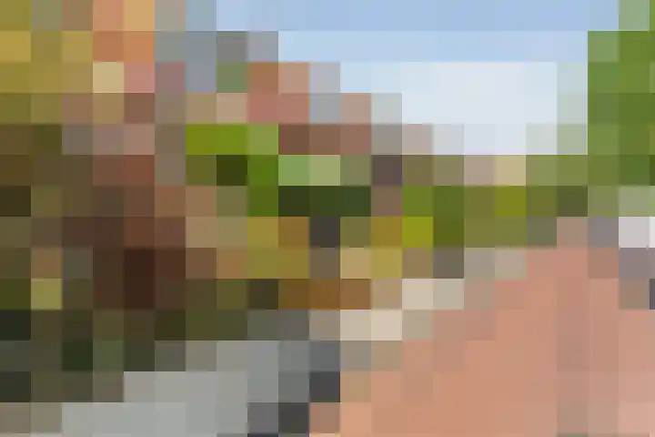 Duiventorenstraat 57 Naaldwijk thumbnail 36