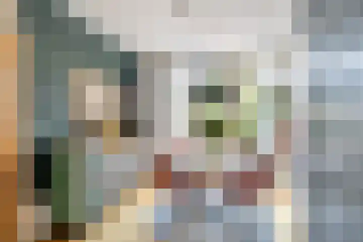 Duiventorenstraat 57 Naaldwijk thumbnail 6