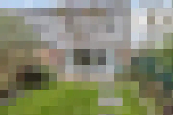 Duivenveld 27 Emmen thumbnail 23