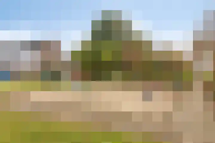 Duivenveld 27 Emmen thumbnail 27