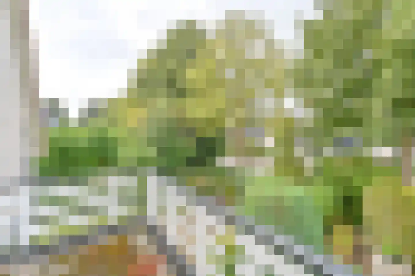 Duivenveld 33 Emmen thumbnail 59