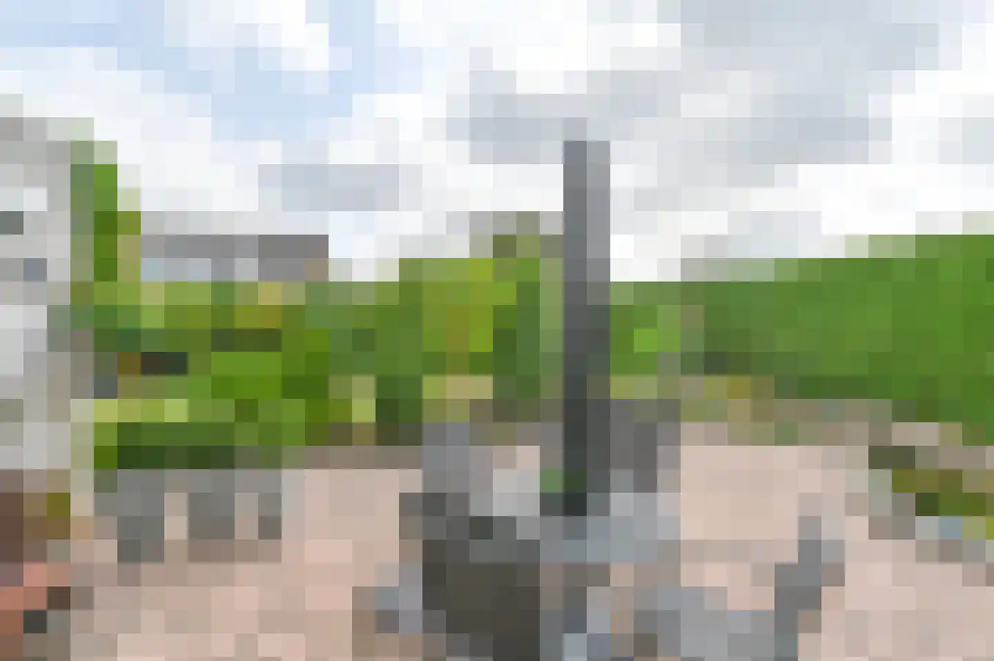 Duivenveld 33 Emmen thumbnail 60
