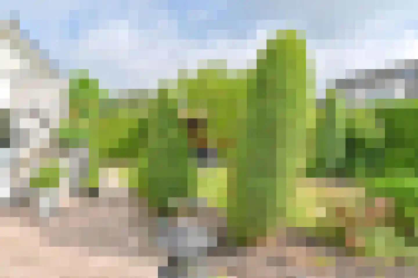 Duivenveld 33 Emmen thumbnail 65