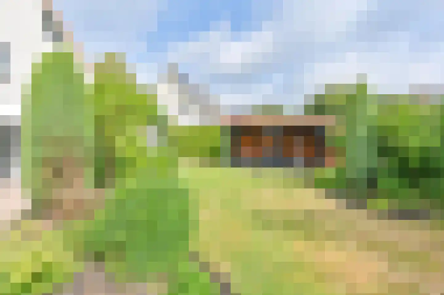 Duivenveld 33 Emmen thumbnail 67