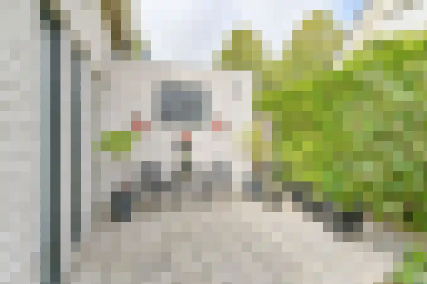 Duivenveld 33 Emmen thumbnail 76
