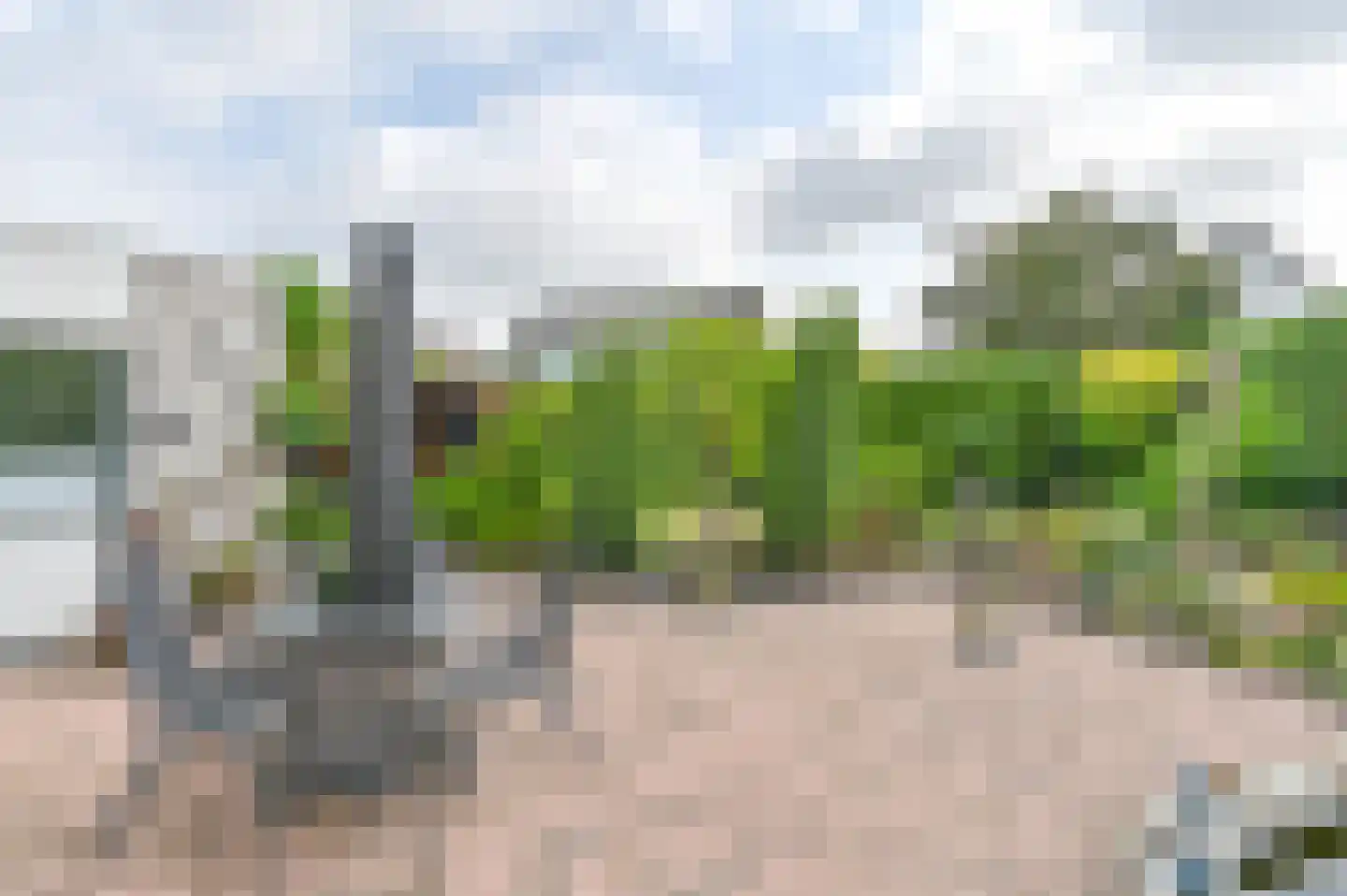 Duivenveld 33 Emmen thumbnail 79