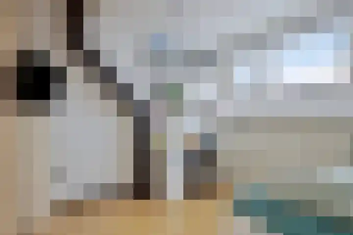 Duivenvoorde 12 Zwijndrecht thumbnail 30