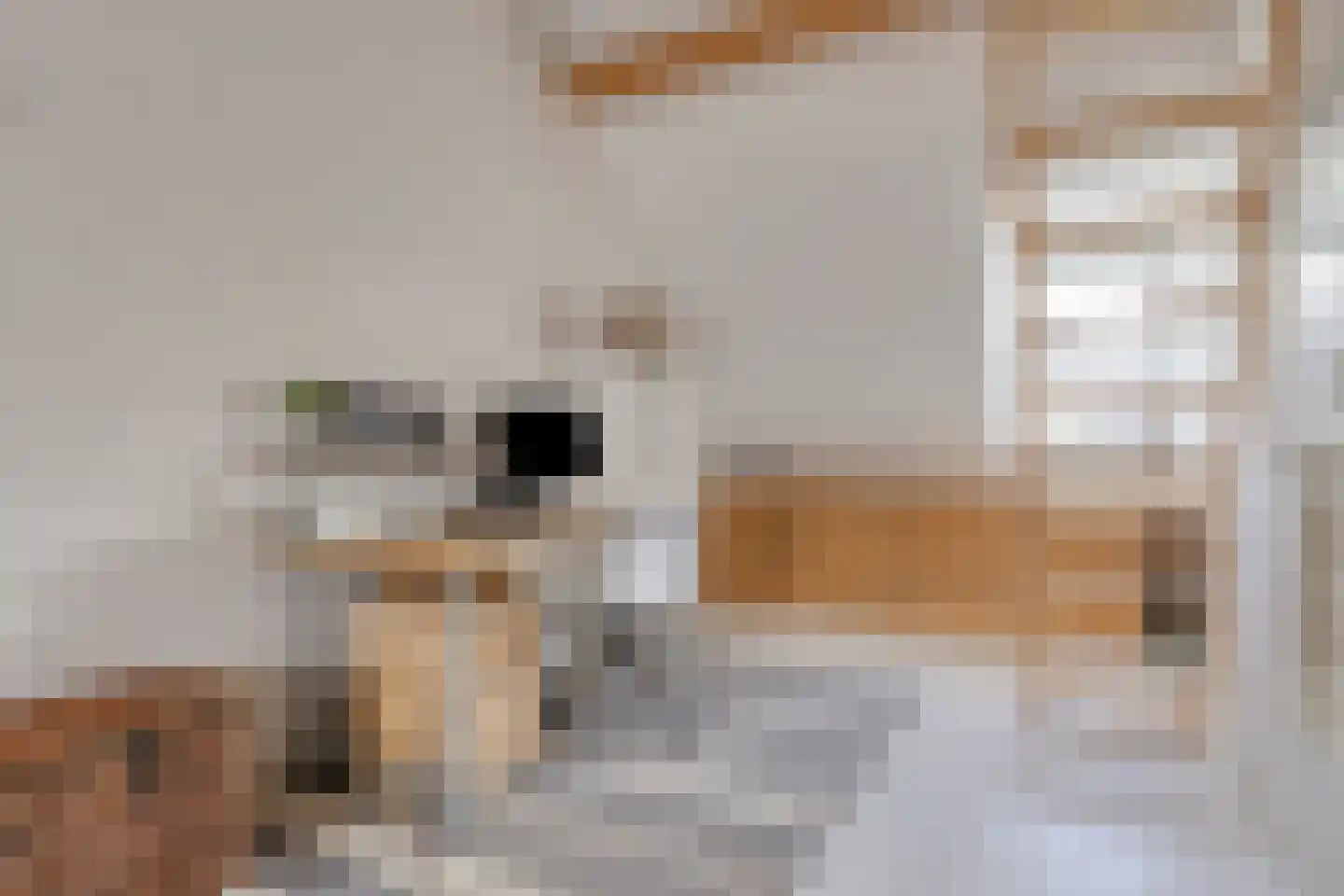 Duivenvoorde 18 Amstelveen thumbnail 32