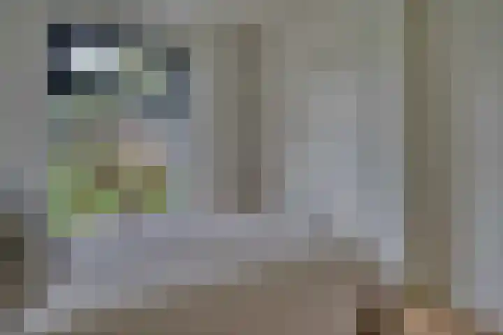 Duivenvoorde 211 B 5 Zwijndrecht thumbnail 19