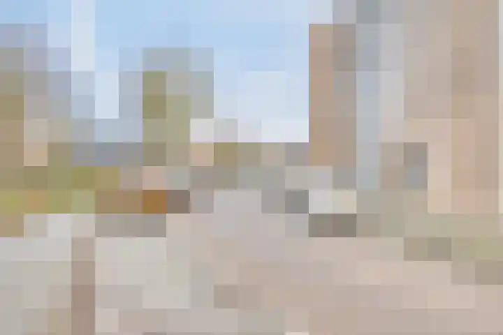 Duivenvoorde 211 B 5 Zwijndrecht thumbnail 38