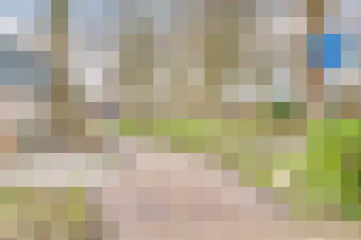 Duivenvoorde 211 B 5 Zwijndrecht thumbnail 39