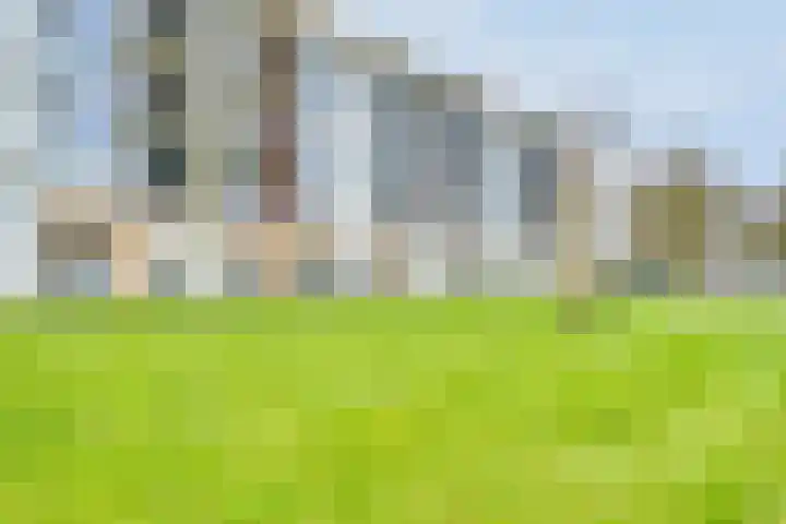 Duivenvoorde 211 B 5 Zwijndrecht thumbnail 41