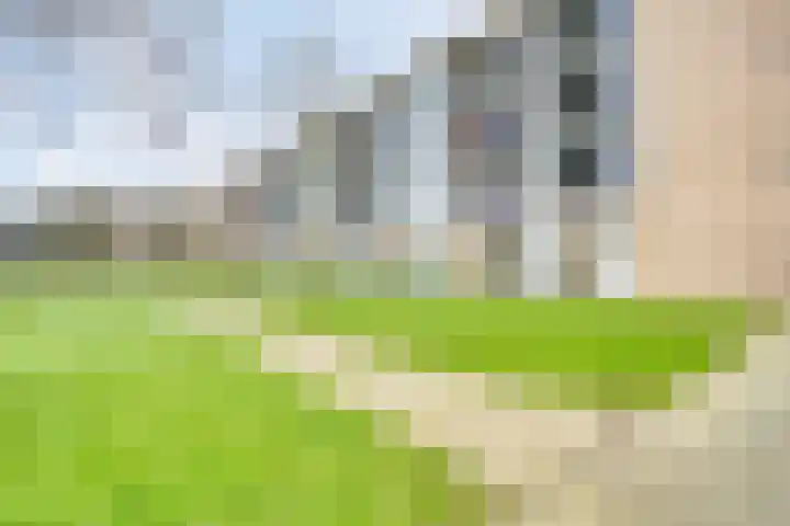 Duivenvoorde 211 B 5 Zwijndrecht thumbnail 42