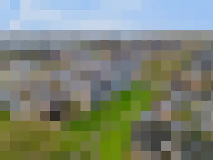 Duivenvoorde 211 B 5 Zwijndrecht thumbnail 45