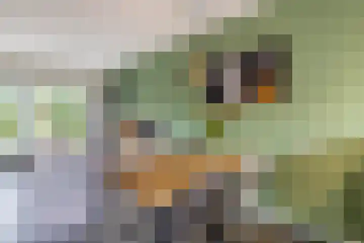 Duivenvoorde 29 Almelo thumbnail 10