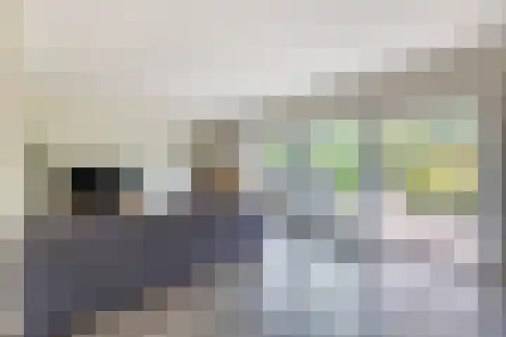 Duivenvoorde 29 Almelo thumbnail 13