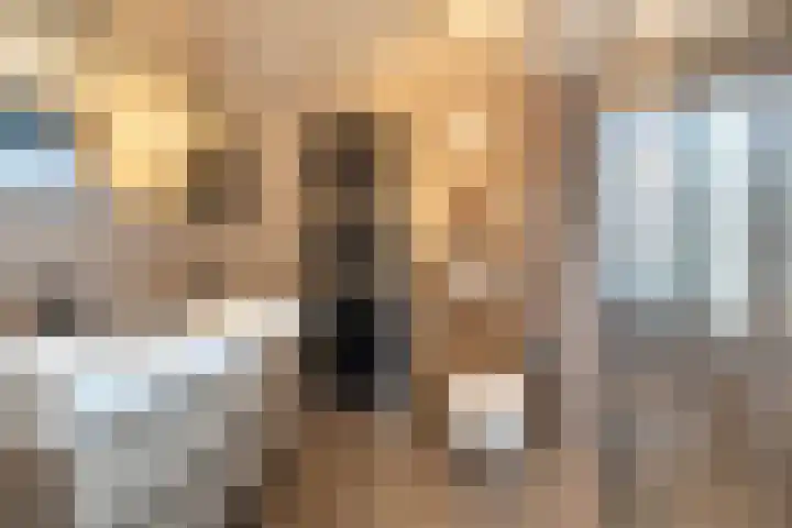 Duivenvoorde 29 Almelo thumbnail 17