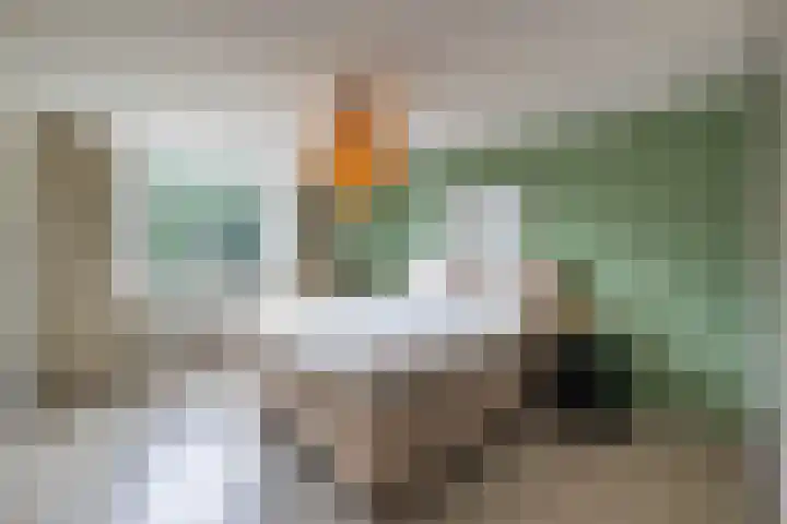 Duivenvoorde 29 Almelo thumbnail 20