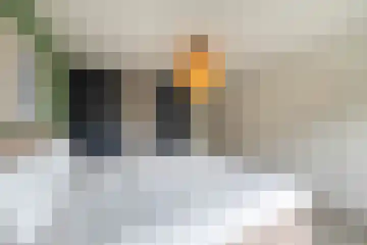 Duivenvoorde 29 Almelo thumbnail 21