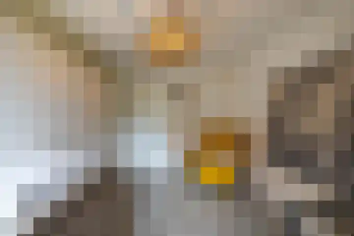 Duivenvoorde 29 Almelo thumbnail 23