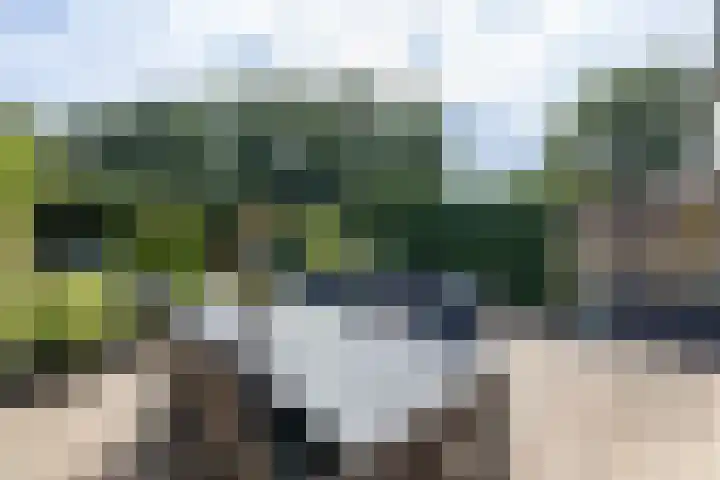 Duivenvoorde 29 Almelo thumbnail 31