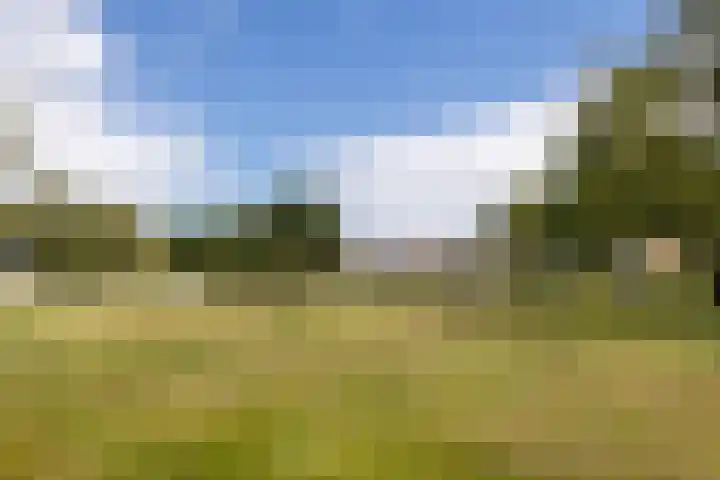 Duivenvoorde 29 Almelo thumbnail 32