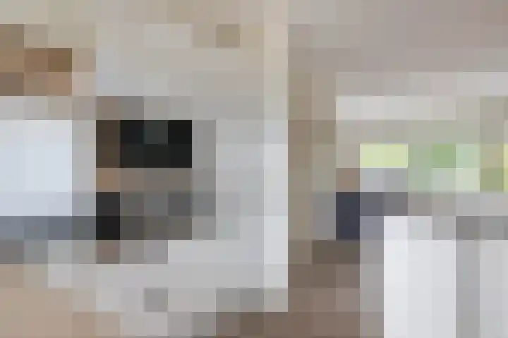 Duivenvoorde 29 Almelo thumbnail 7
