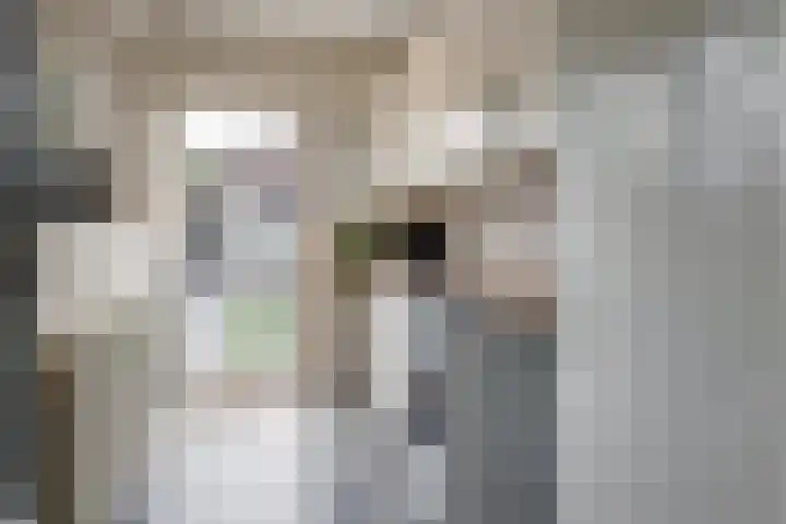 Duivenvoorde 32 Steenbergen thumbnail 10