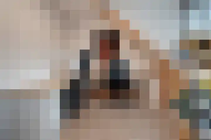 Duivenvoorde 32 Steenbergen thumbnail 32